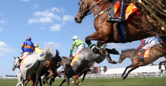 Ayr Racecourse