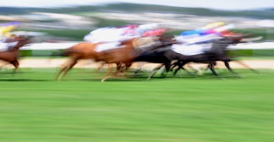 Carlisle Racecourse