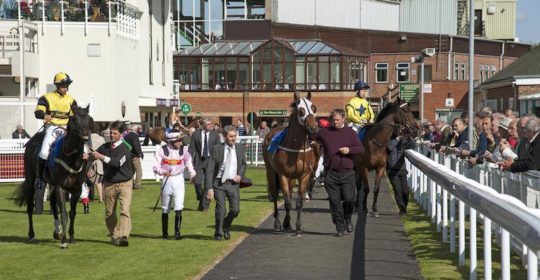 Salisbury Racecourse