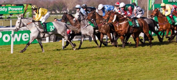 Sandown Racecourse