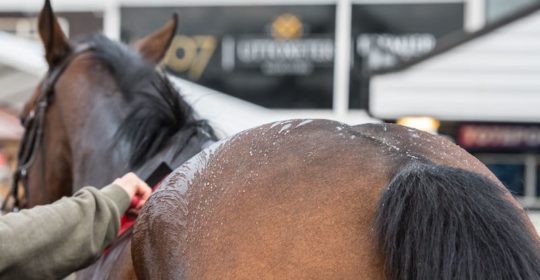 Uttoxeter Racecourse