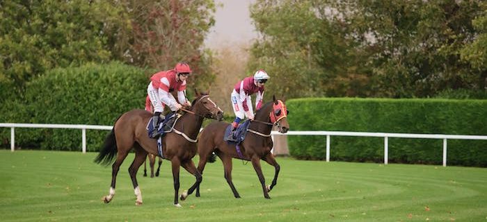 Windsor Racecourse