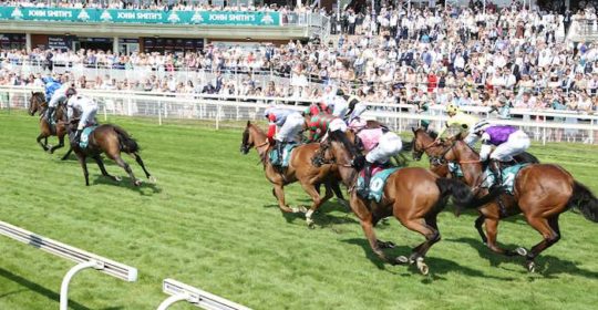 York Racecourse