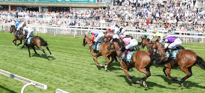 York Racecourse