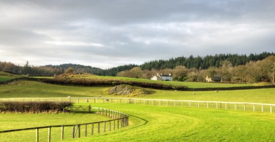 Cartmel Racecourse