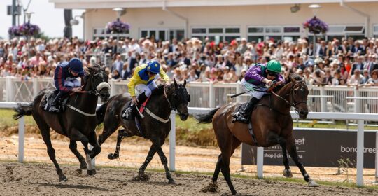 Chelmsford City Racecourse