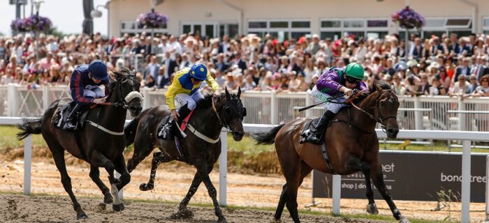 Chelmsford City Racecourse