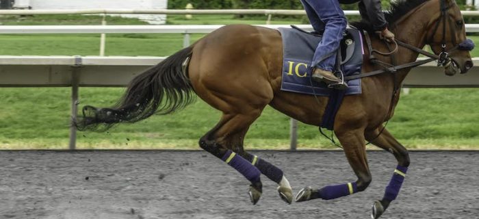 Arlington Park Racecourse