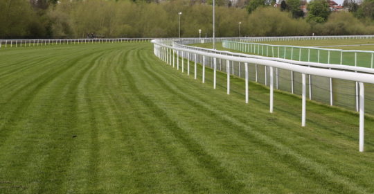 Fontwell Park Racecourse