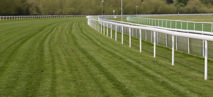 Fontwell Park Racecourse