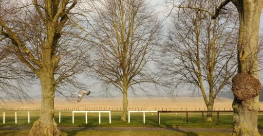 Newmarket Racecourse