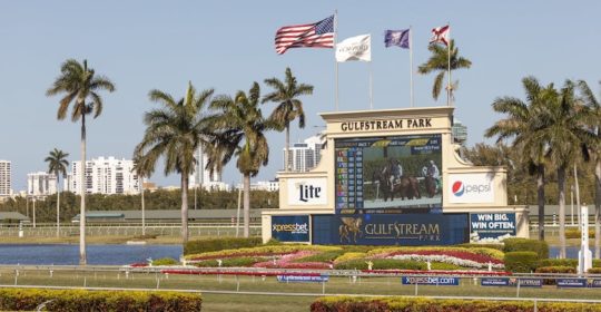 Gulfstream Park Racecourse