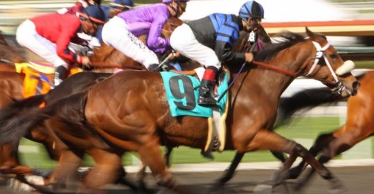 Kentucky Downs Racecourse