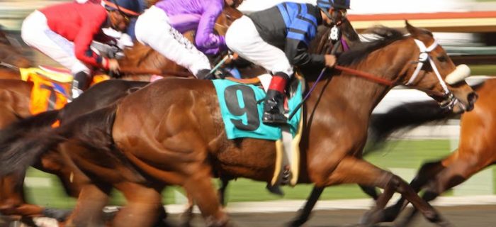 Kentucky Downs Racecourse