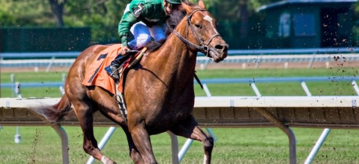 Monmouth Park Racetrack