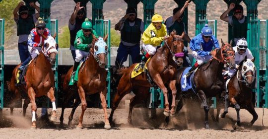 Arizona Downs Racecourse