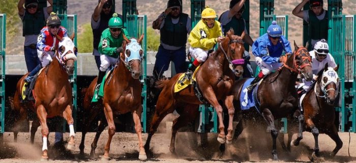 Arizona Downs Racecourse