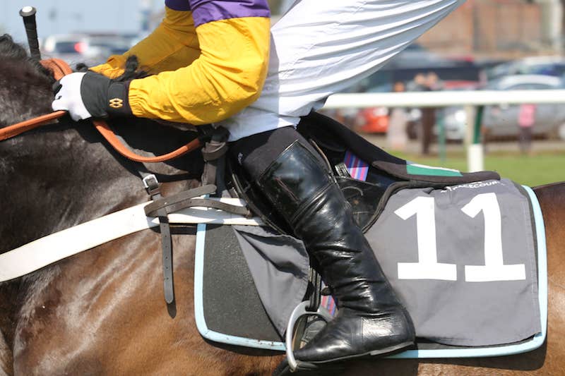 When Is The Ayr Gold Cup 2024 Kali Samara