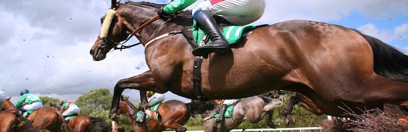 Beckford Stakes 2023