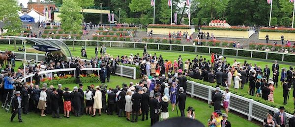 Diamond Jubilee Stakes 2024
