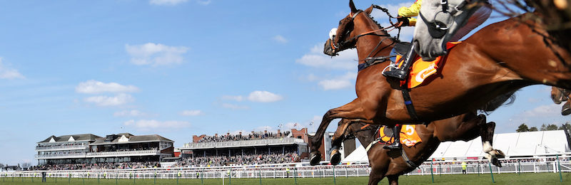  Future Champions Novices’ Chase 2025