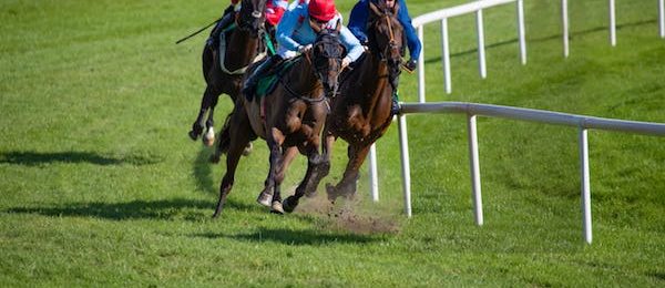 Houghton Mare’s Chase 2022