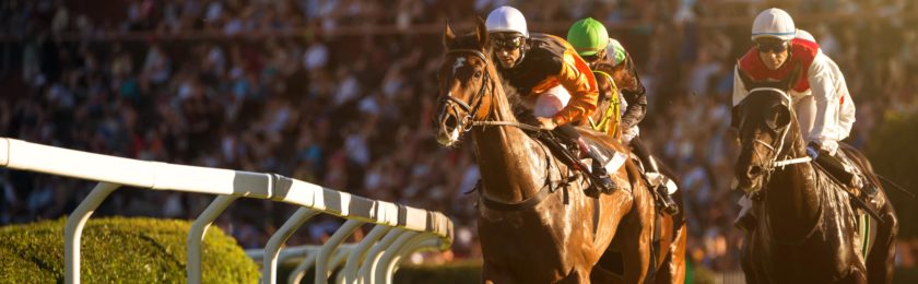 Lansdown Fillies’ Stakes 2025
