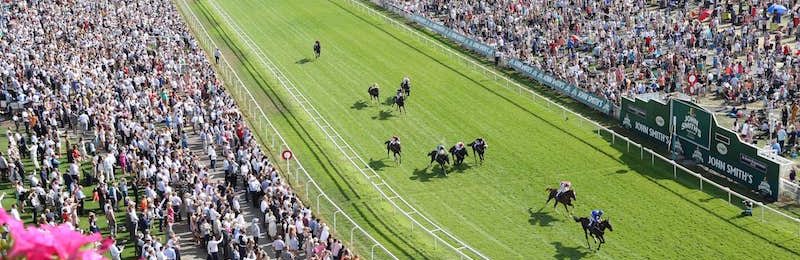 Musidora Stakes 2024