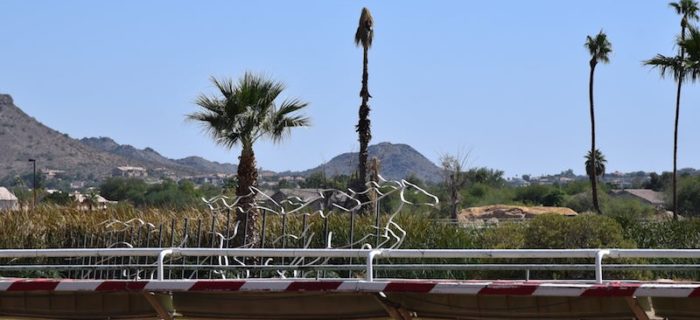 Turf Paradise Racecourse