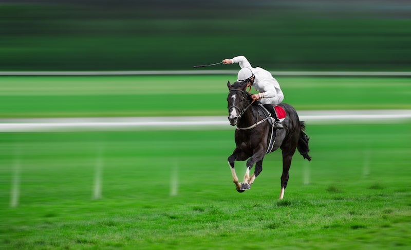 Appliance Solutions Ledbury Mares’ Handicap Chase 2023