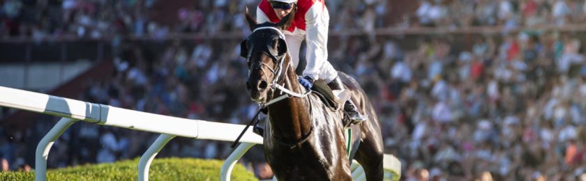  Autumn Evening Racing 2024