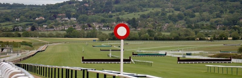 Cheltenham Gold Cup 2025