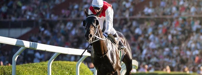 Dick Poole Fillies’ Stakes 2024