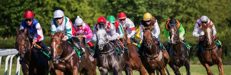 Free Raceday at Taunton 2025