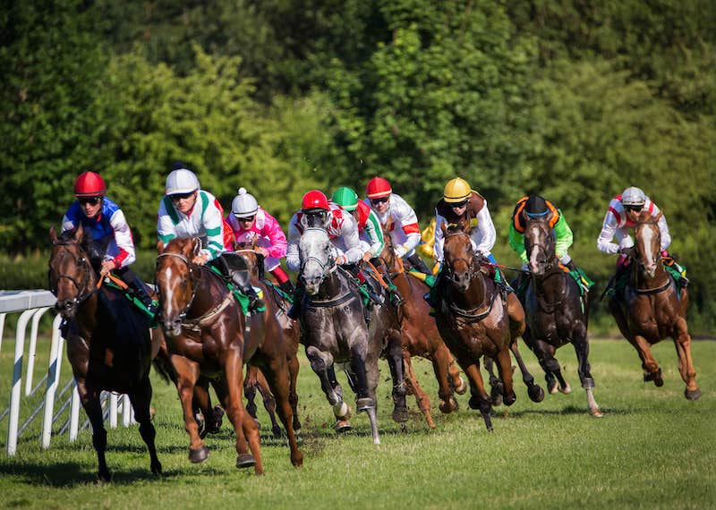 Free Raceday at Taunton 2024