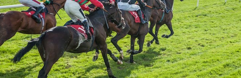 Glasgow Stakes at Hamilton Park 2024