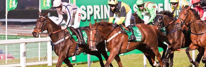 Henry VIII Novices’ Chase at Sandown 2024