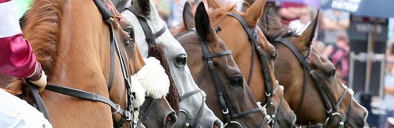 Ladies Day at Stratford-on-Avon 2024