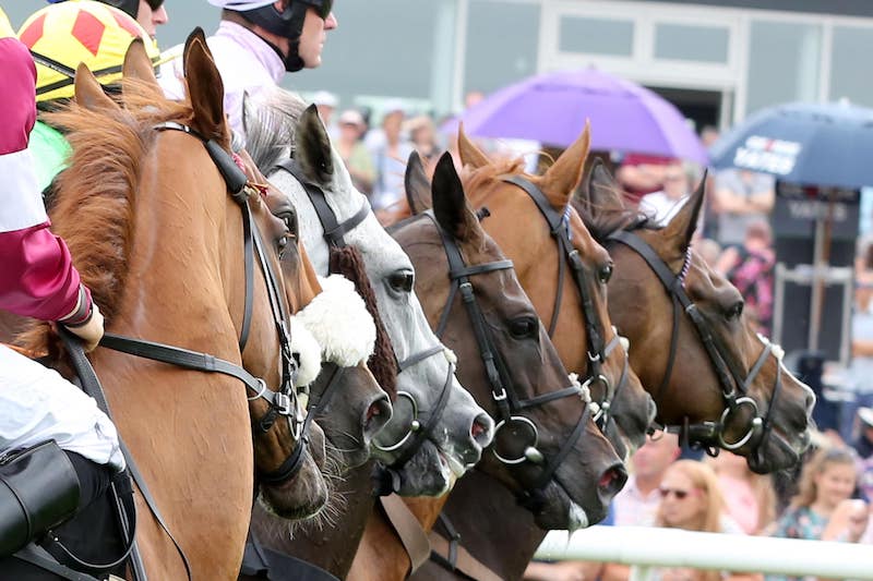 Ladies Day at Stratford-on-Avon 2024