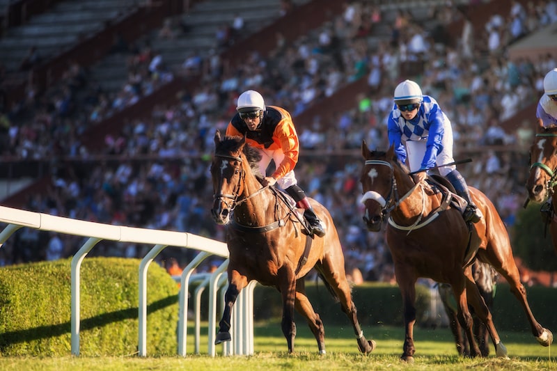 Notable Races at Southwell Racecourse 2024