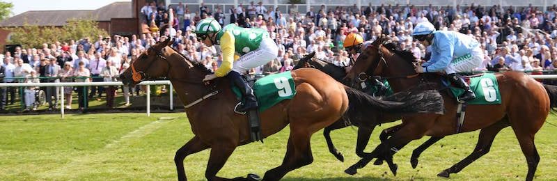 Personal Touches Handicap Stakes 2024