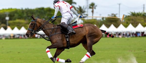 Queen Charlotte Fillies’ Stakes 2025