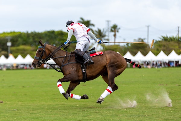 Queen Charlotte Fillies’ Stakes 2025