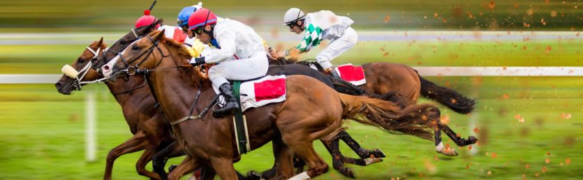 Richard Davis Memorial Chase 2024