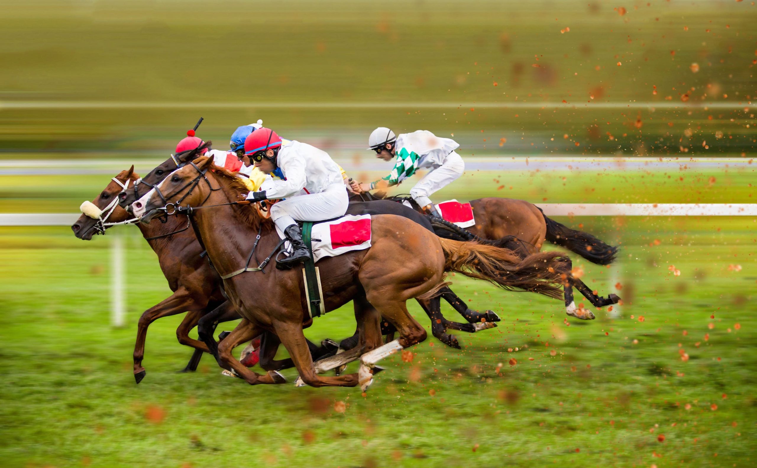 Richard Davis Memorial Chase 2023