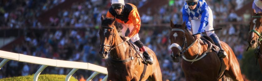 Royal Windsor Stakes 2024