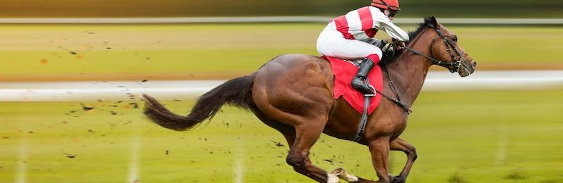 Sandown Mile at Sandown 2025