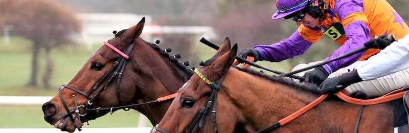 Ladies Day at Taunton 2025