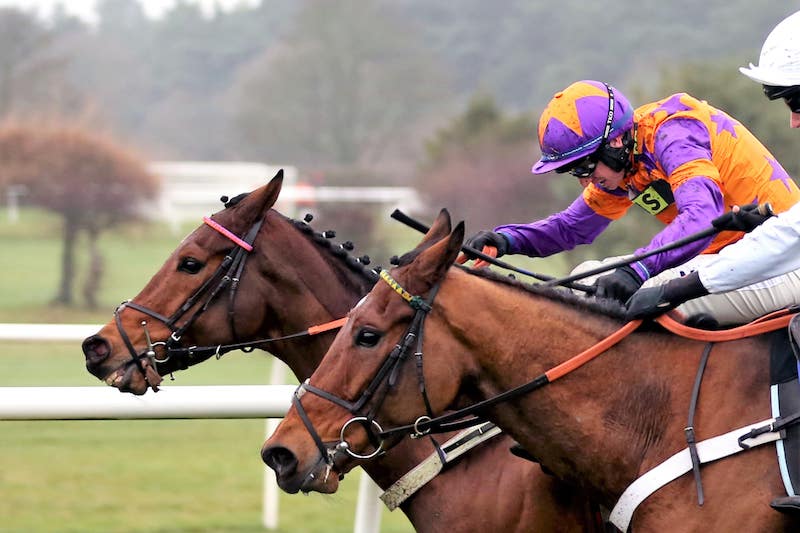 Ladies Day at Taunton 2024