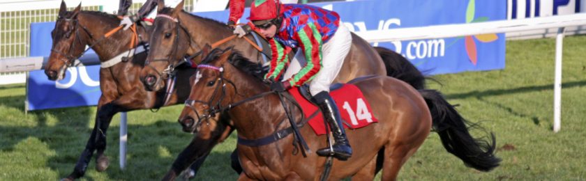 Tingle Creek Chase at Sandown 2024
